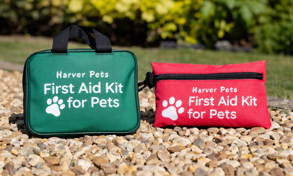 What Should Be in a Dog First Aid Kit? (Complete Checklist for Home & Travel)