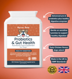 Dog probiotics and gut health supplement bottle with branding and product details on a orange background