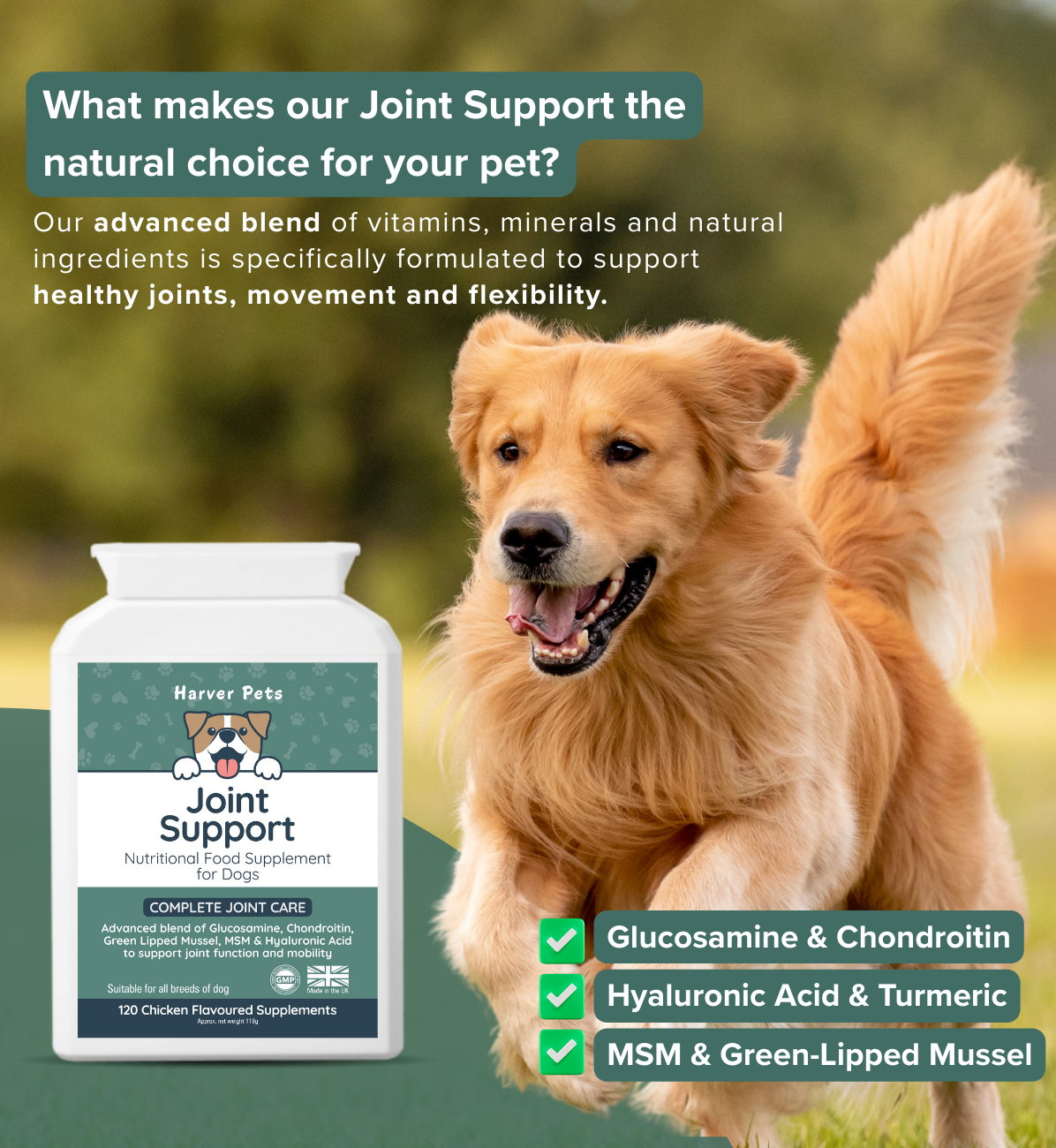 Dog running outdoors with a supplement bottle labeled 'Harver Pets Joint Support' and text about joint support for pets.