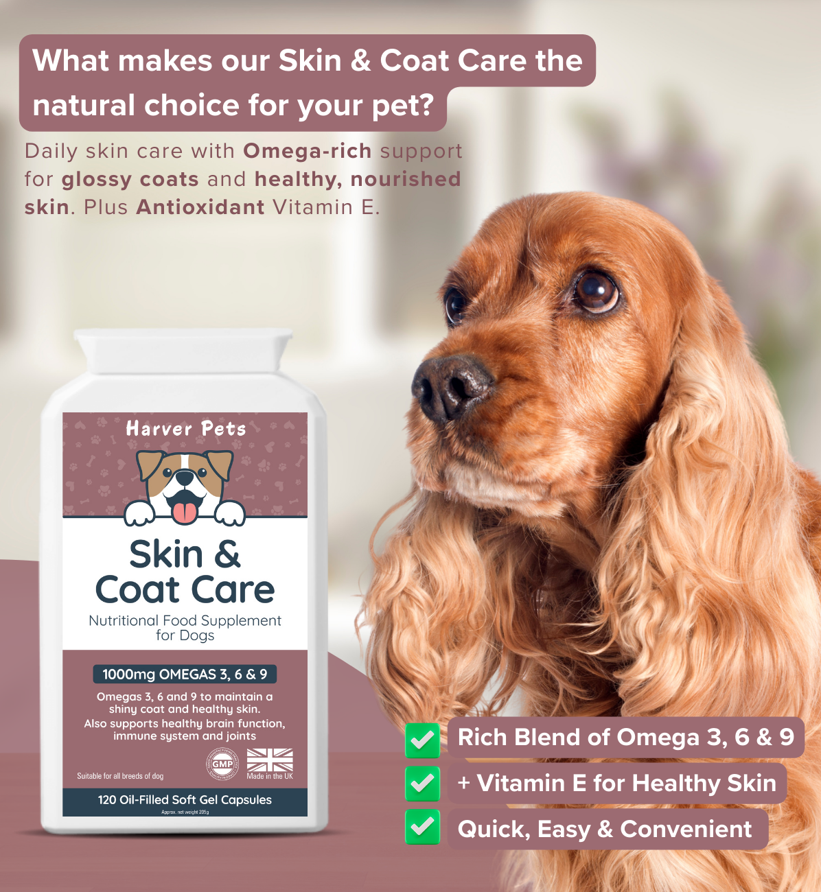 Dog with a supplement package labeled 'Harver Pets Skin & Coat Care'  Showing  product benefits on a blurred background