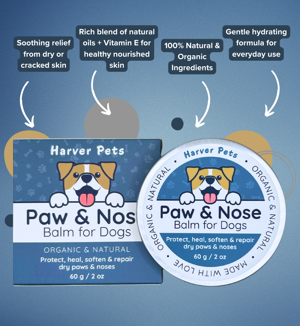 Paw & Nose Balm with Harver Pets branding and product highlights