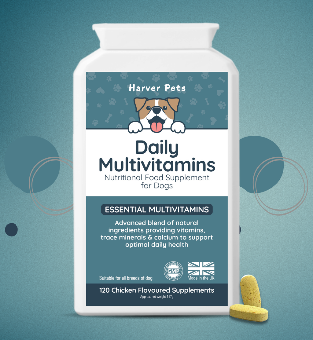 Harver Pets Daily Multivitamins for dogs on a blue background