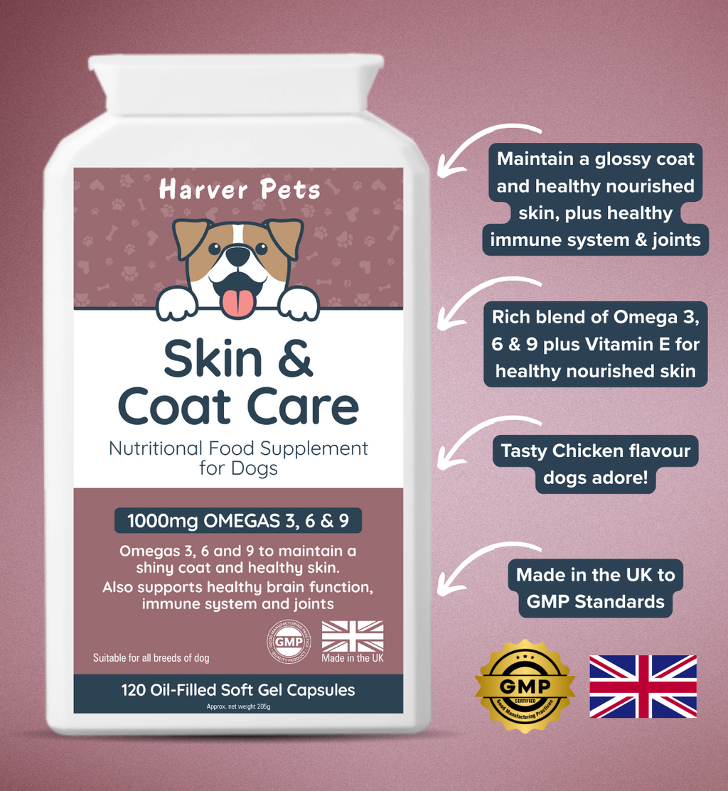 Harver Pets Skin & Coat Care supplement for dogs on a pink background showing highlights of product
