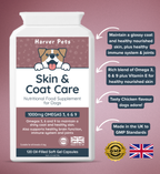 Harver Pets Skin & Coat Care supplement for dogs on a pink background showing highlights of product