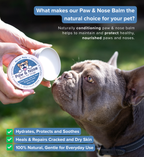 Person holding a container of paw and nose balm for a dog, with text about the product's benefits.
