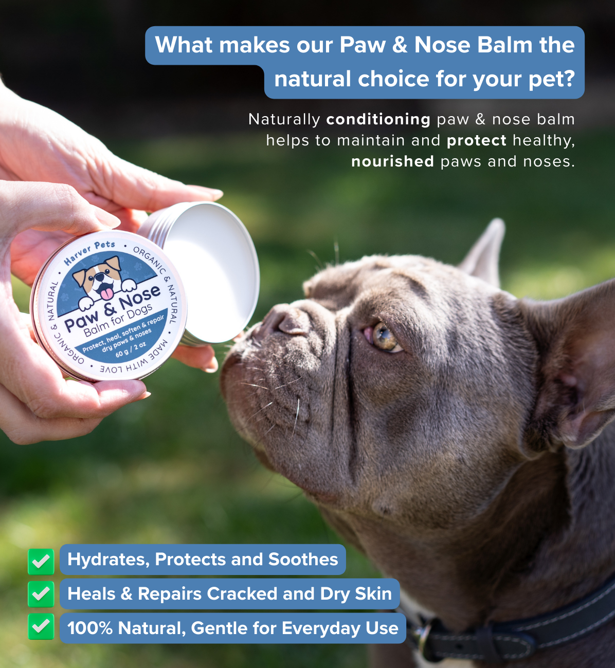 Person holding a container of paw and nose balm for a dog, with text about the product's benefits.