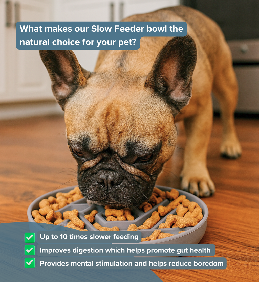 Dog eating from a slow feeder bowl with text about its benefits.