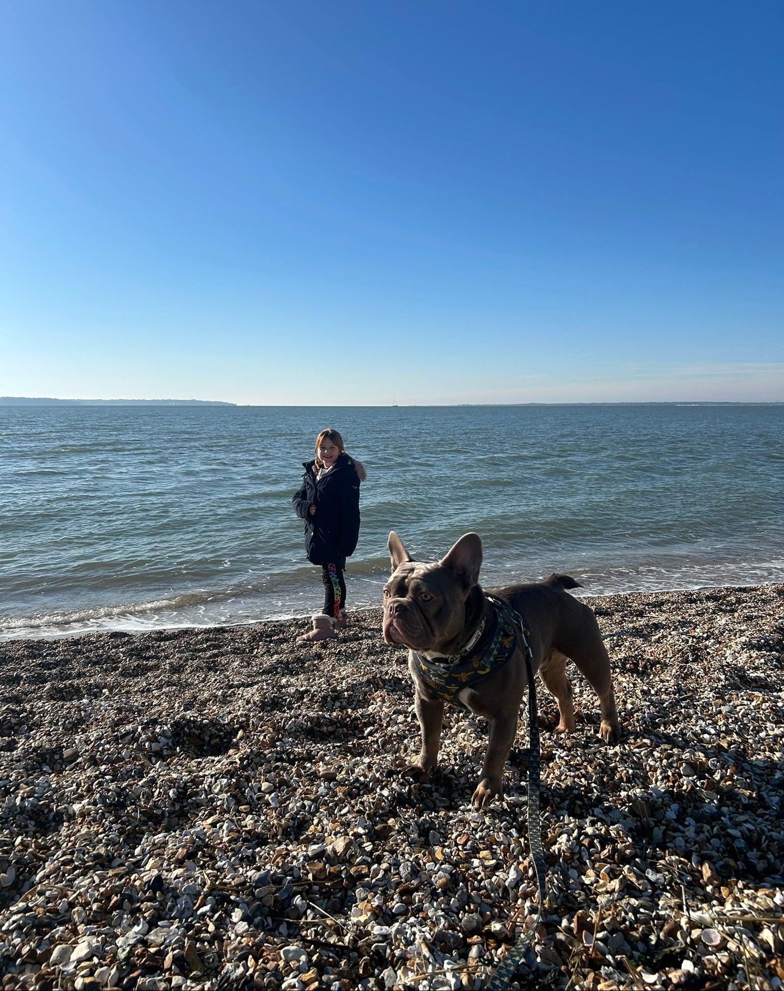 Young girl and dog on a pebbly beach with ocean and clear blue sky in the background