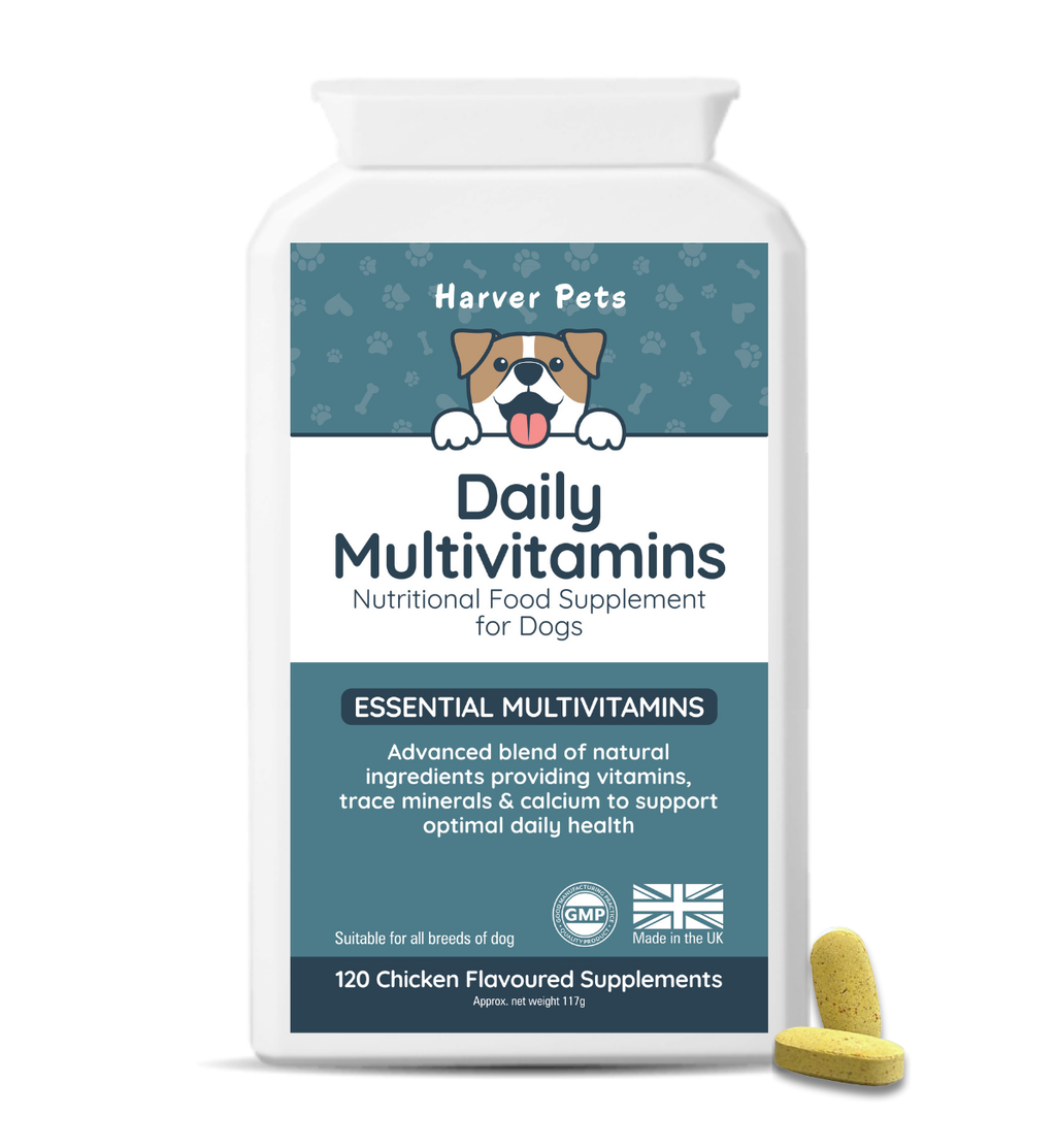 Harver Pets Daily Multivitamins for dogs with a supplement pill on a white background