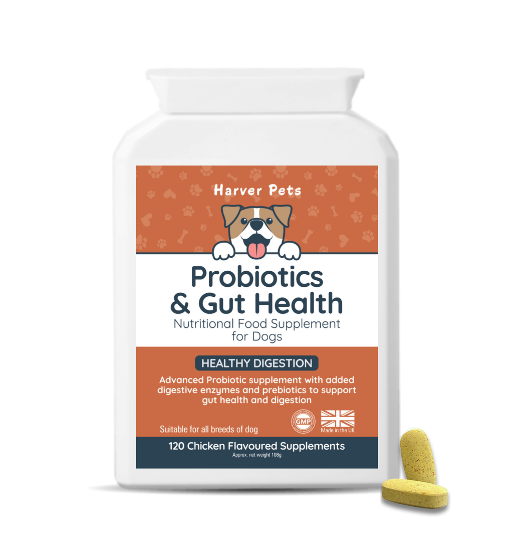 Harver Pets probiotics and gut health supplement for dogs with a pill on a white background