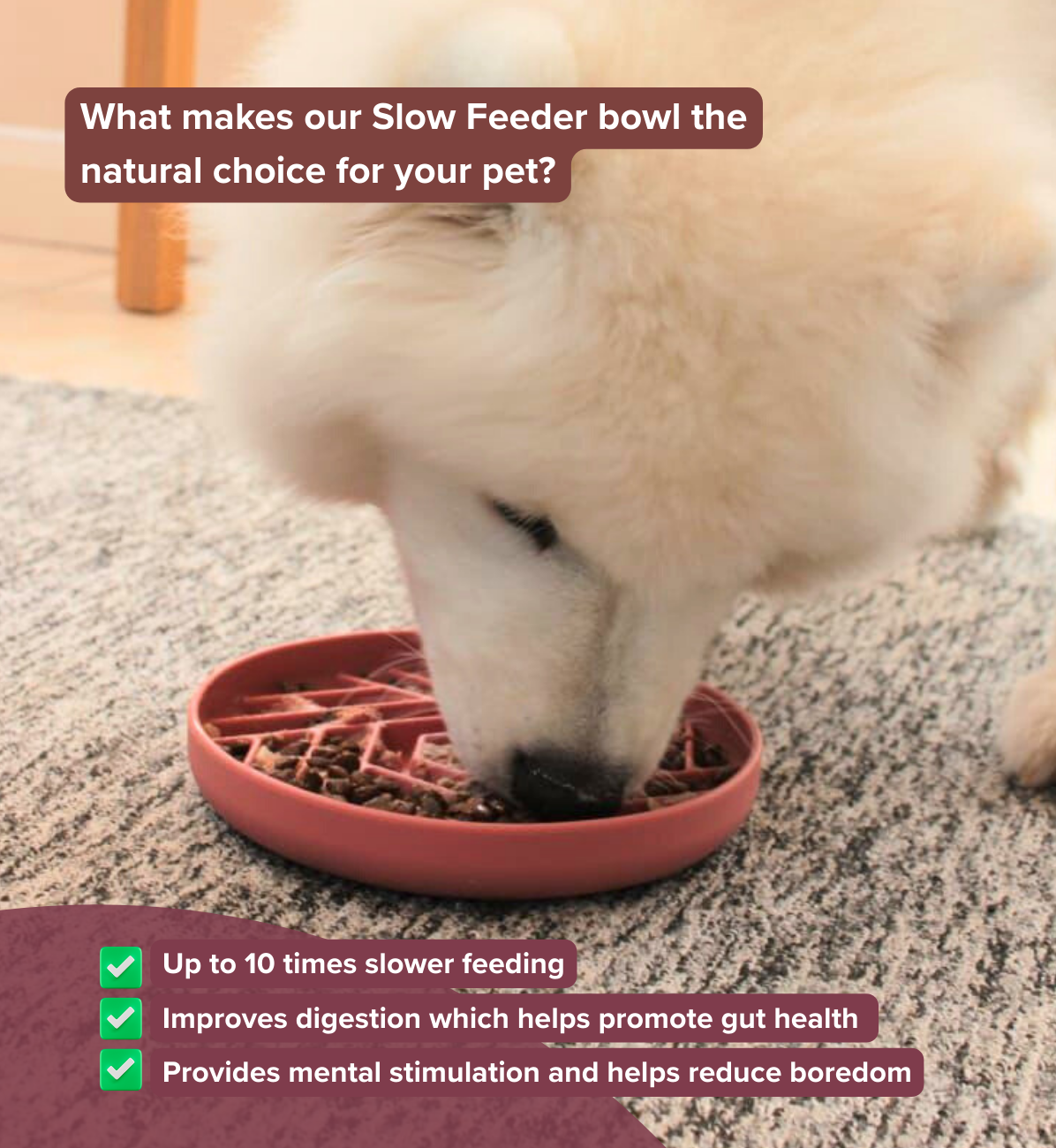 Dog eating from a slow feeder bowl with text highlighting benefits